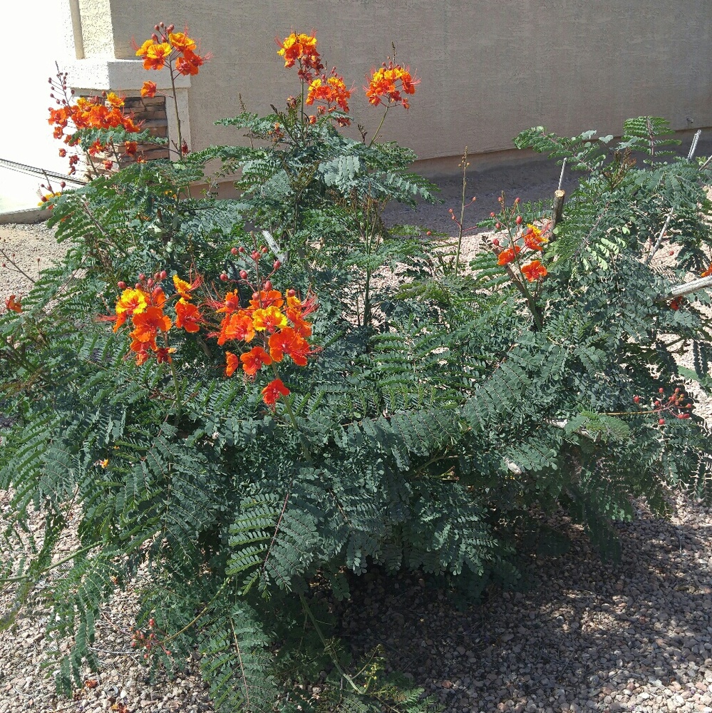 Bundle your likes and send me an offer 🤗